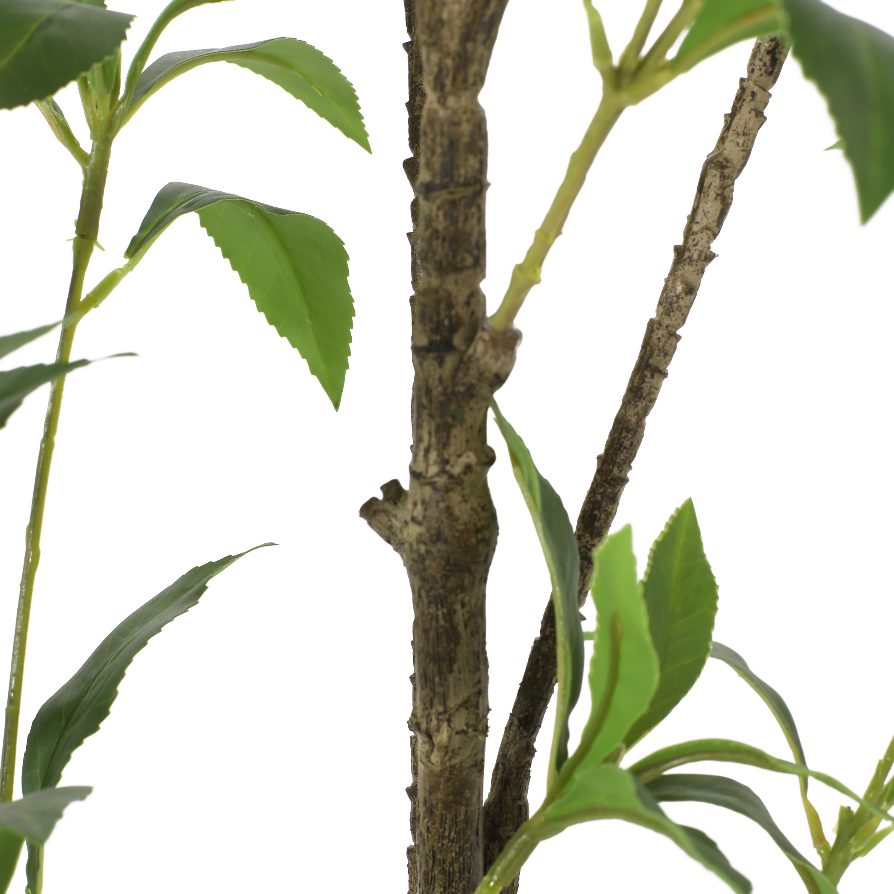 Faux Pieris Tree
