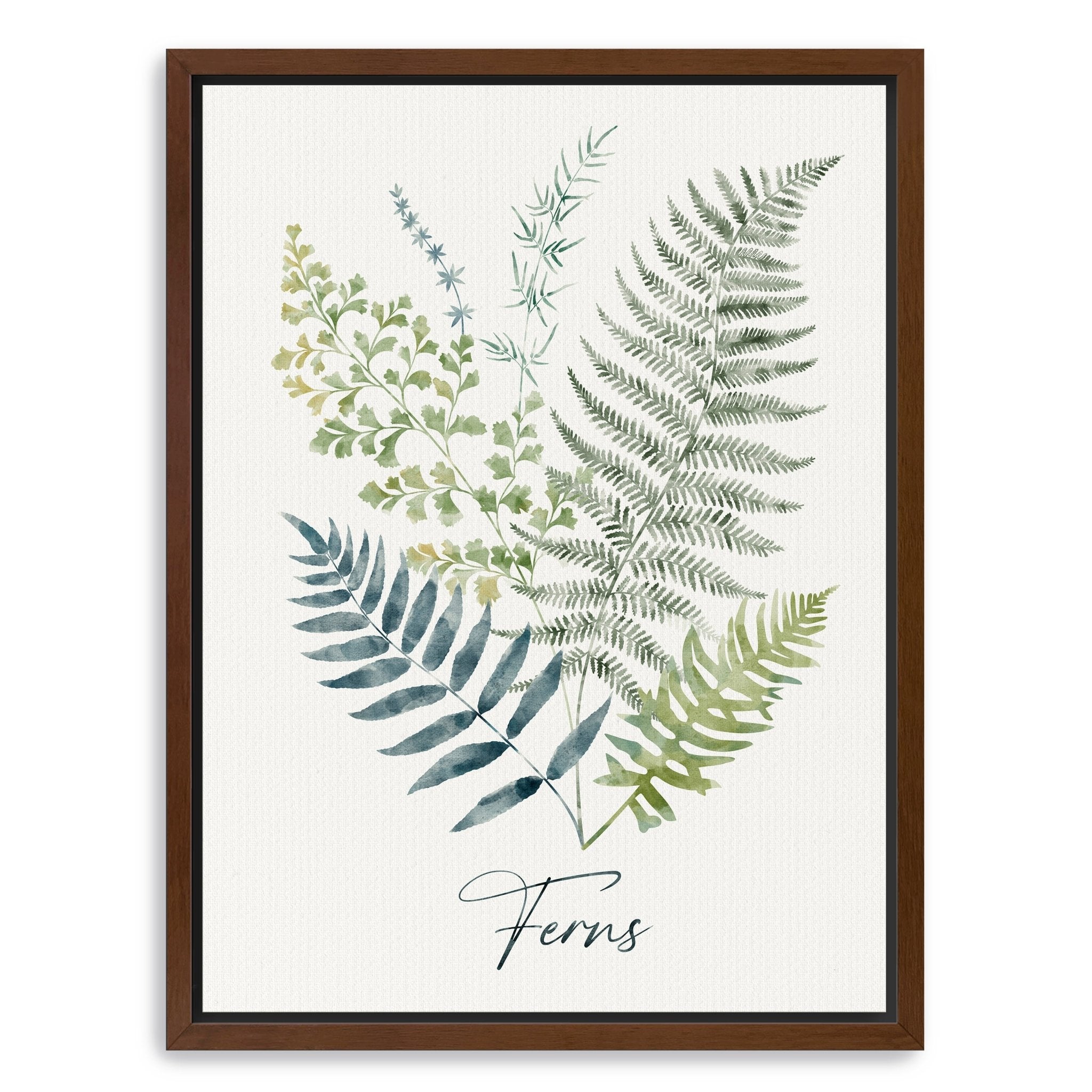 Ferns Canvas Giclee - Canvas Wall Art