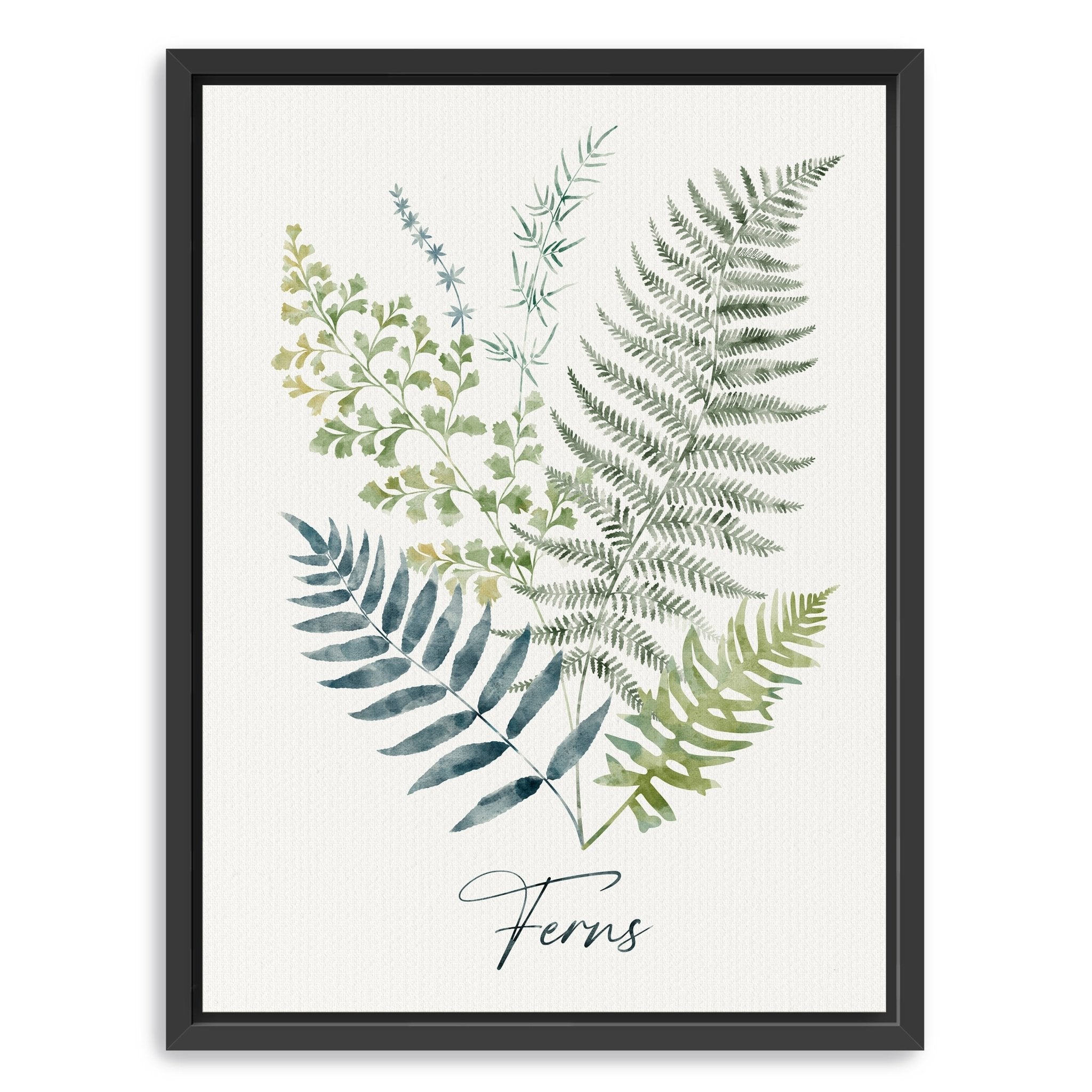 Ferns Canvas Giclee - Canvas Wall Art