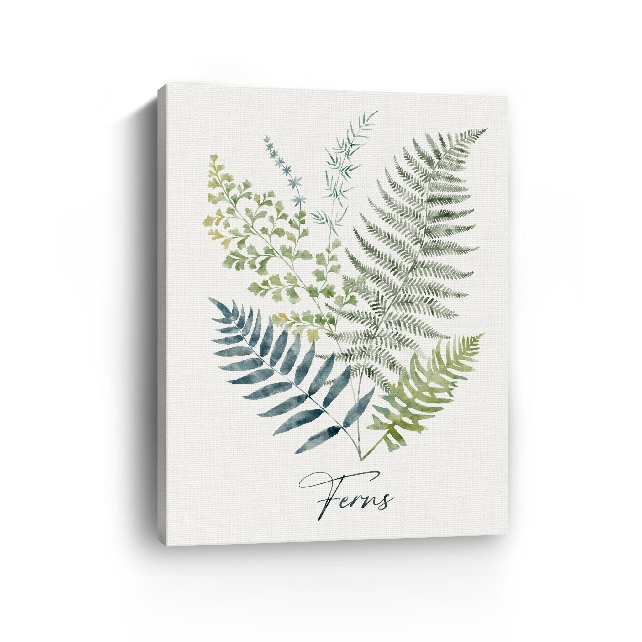 Ferns Canvas Giclee - Canvas Wall Art
