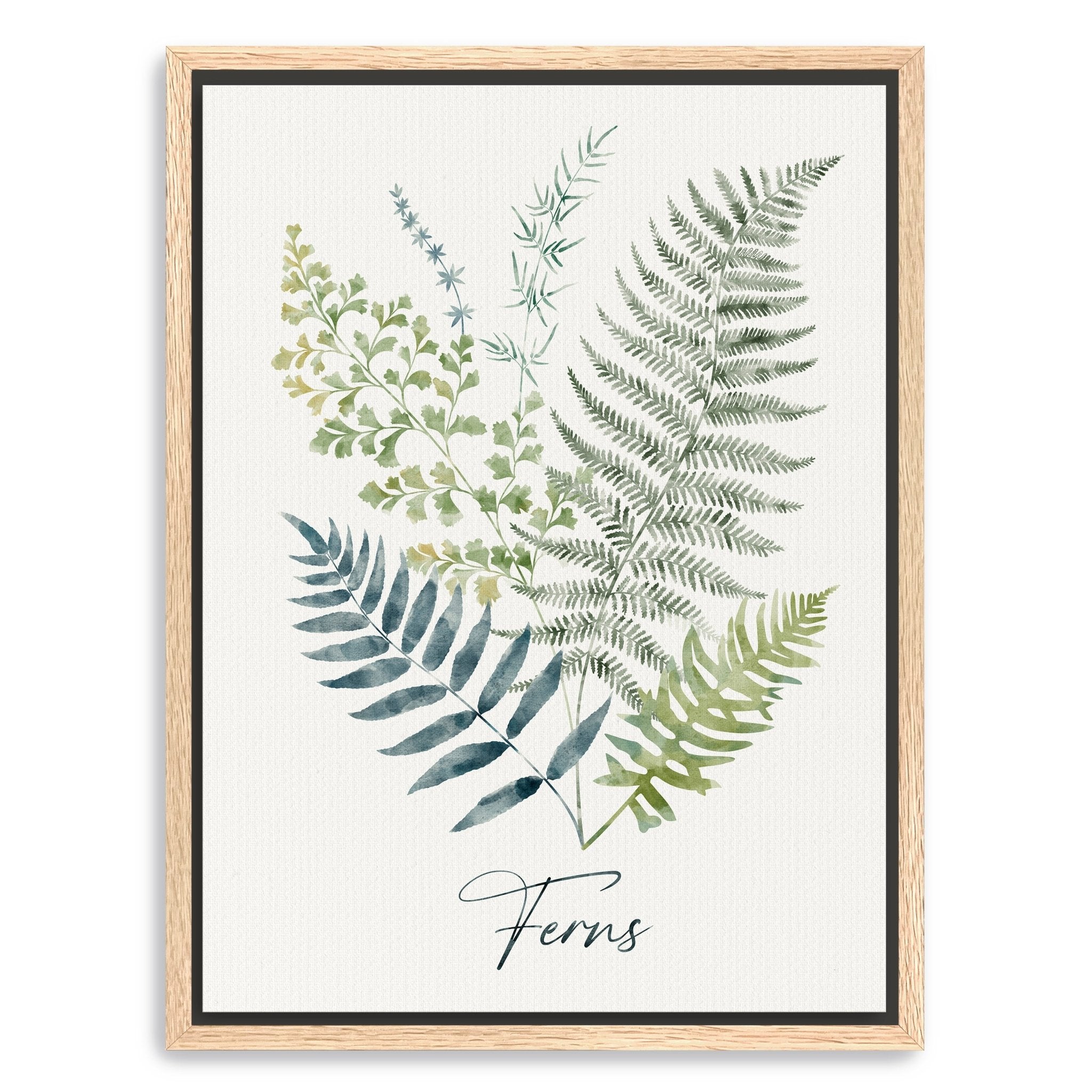 Ferns Canvas Giclee - Canvas Wall Art