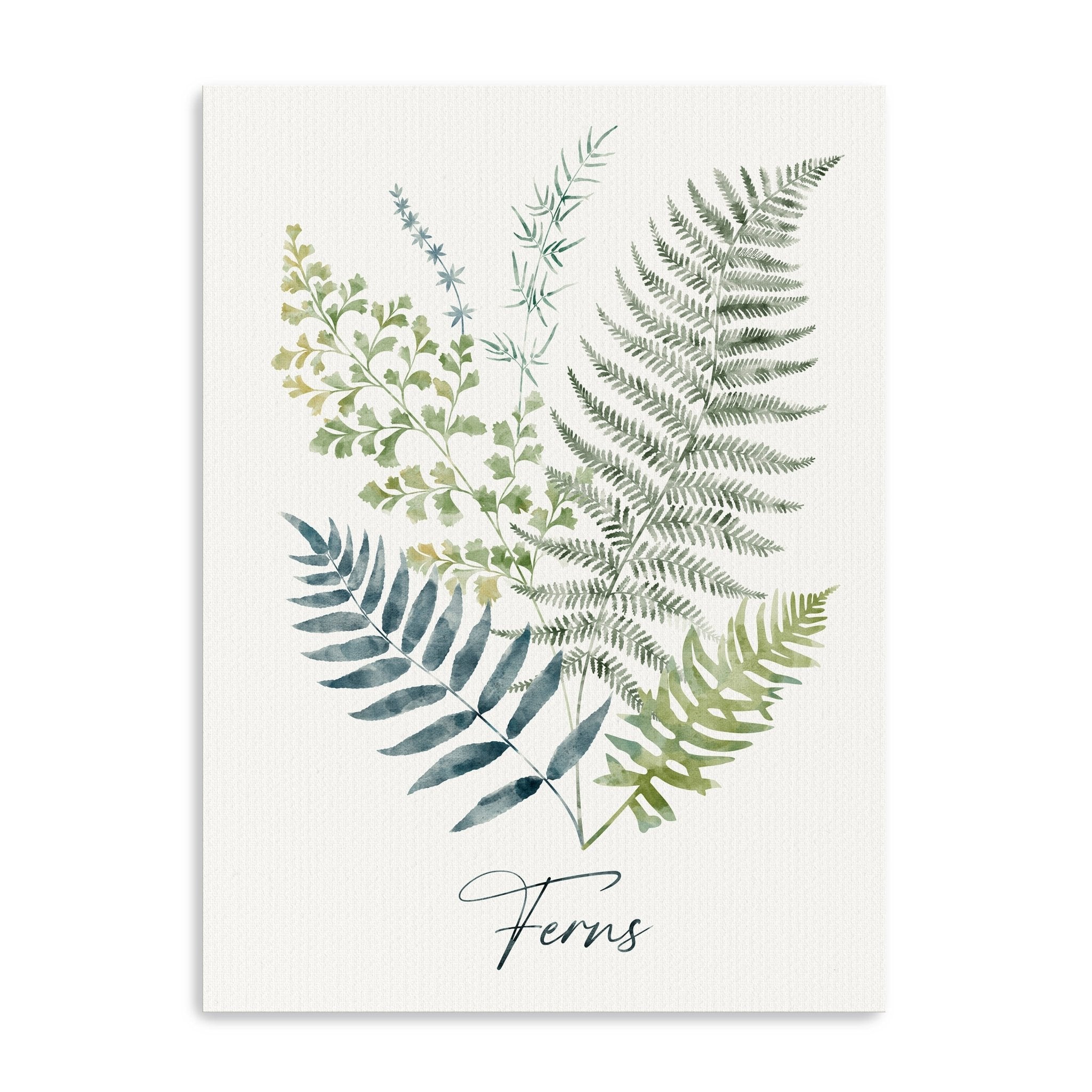 Ferns Canvas Giclee - Canvas Wall Art