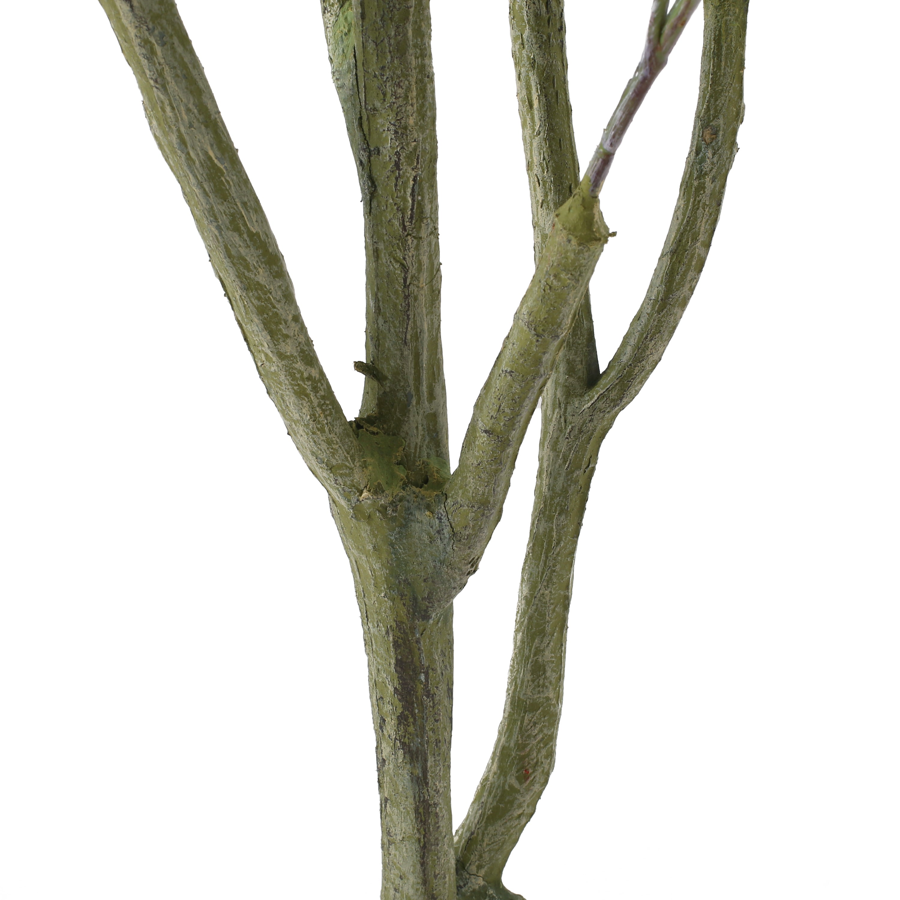 Eucalyptus Faux Bonsai Tree