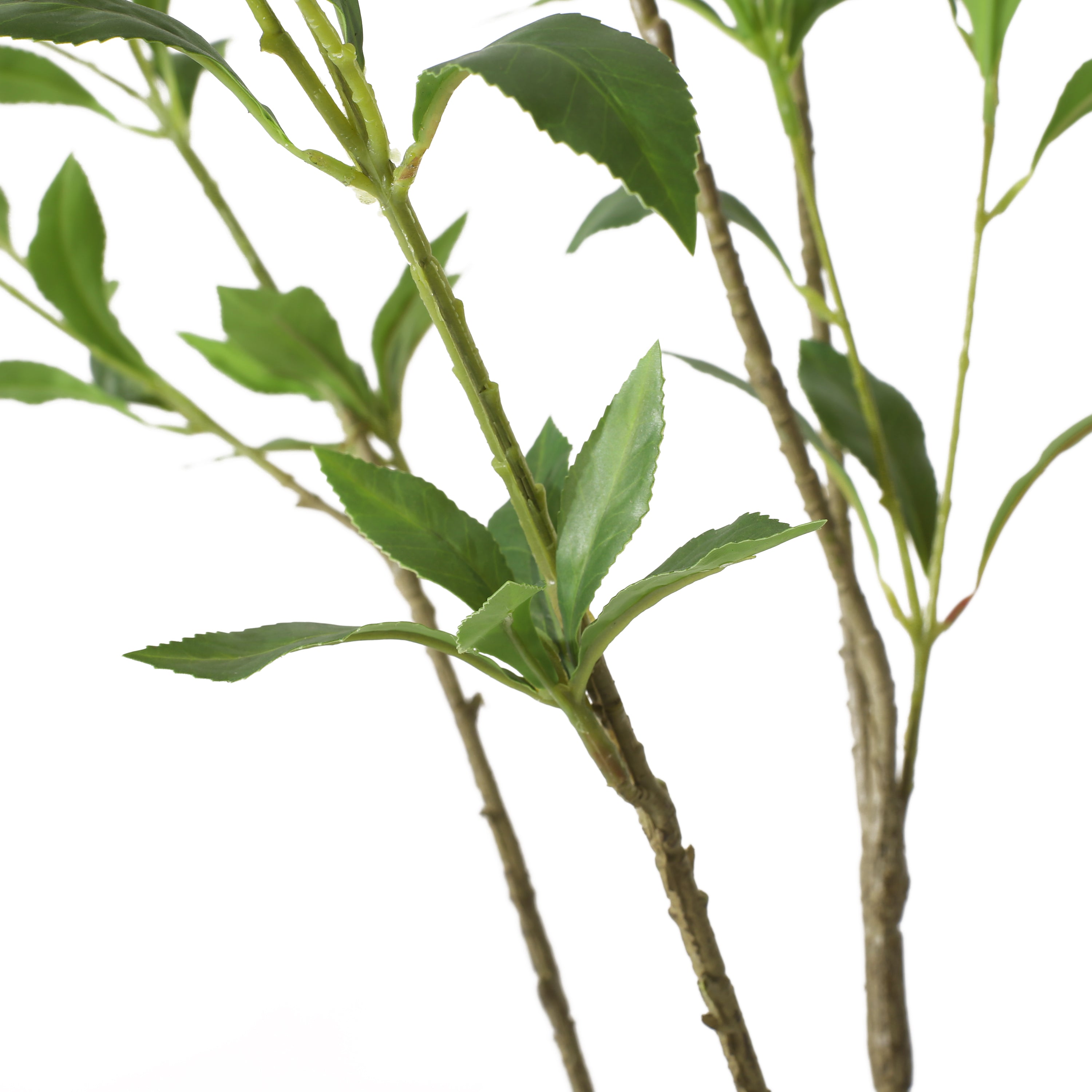 Pieris Tree Articial Tree