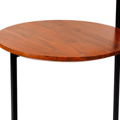 Geo Collection 21 Inch Round Acacia Wood Accent End Table with 2 Tier Tabletops, Brown, Black - End Tables