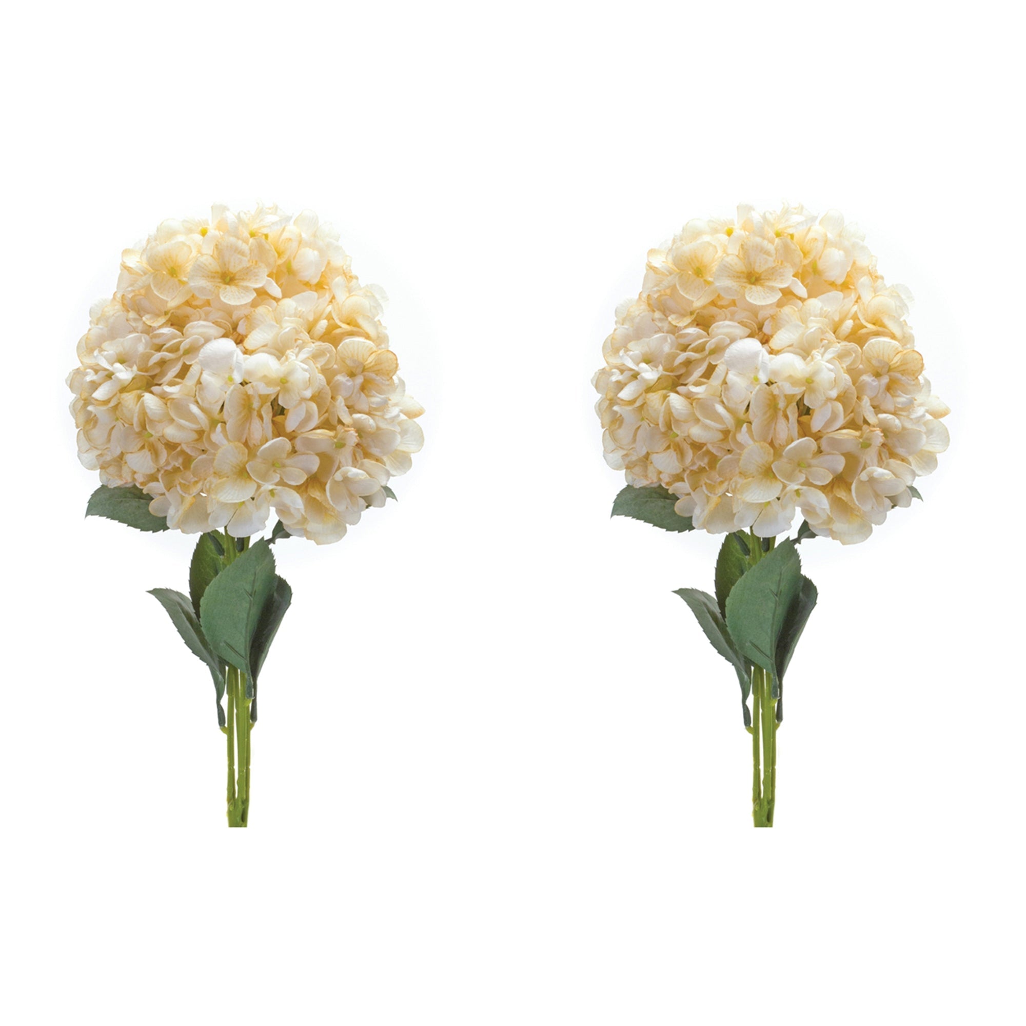 Hydrangea Bush (Set of 2) - Decorative Accessories
