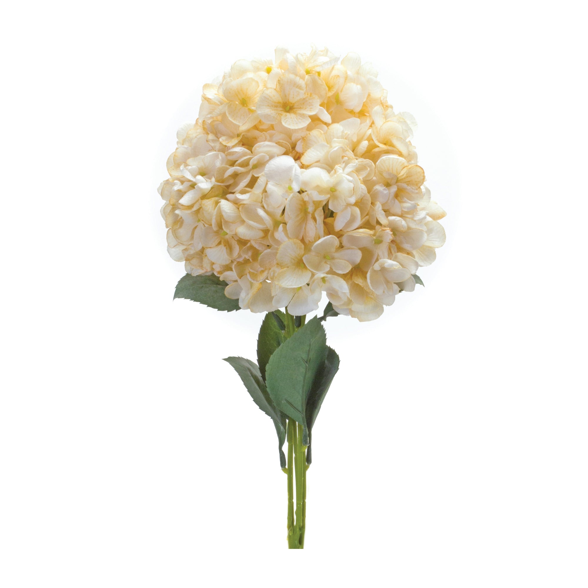 Hydrangea Bush (Set of 2) - Decorative Accessories