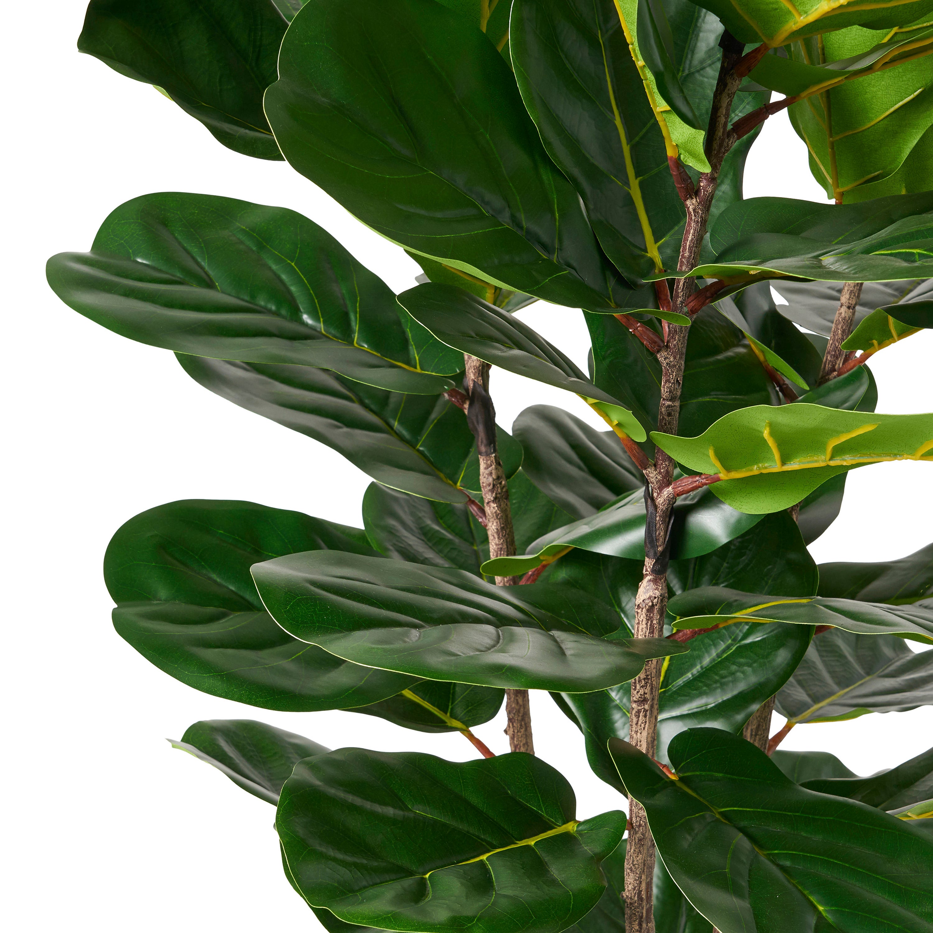 71" Faux Fiddle Leaf Fern Tree