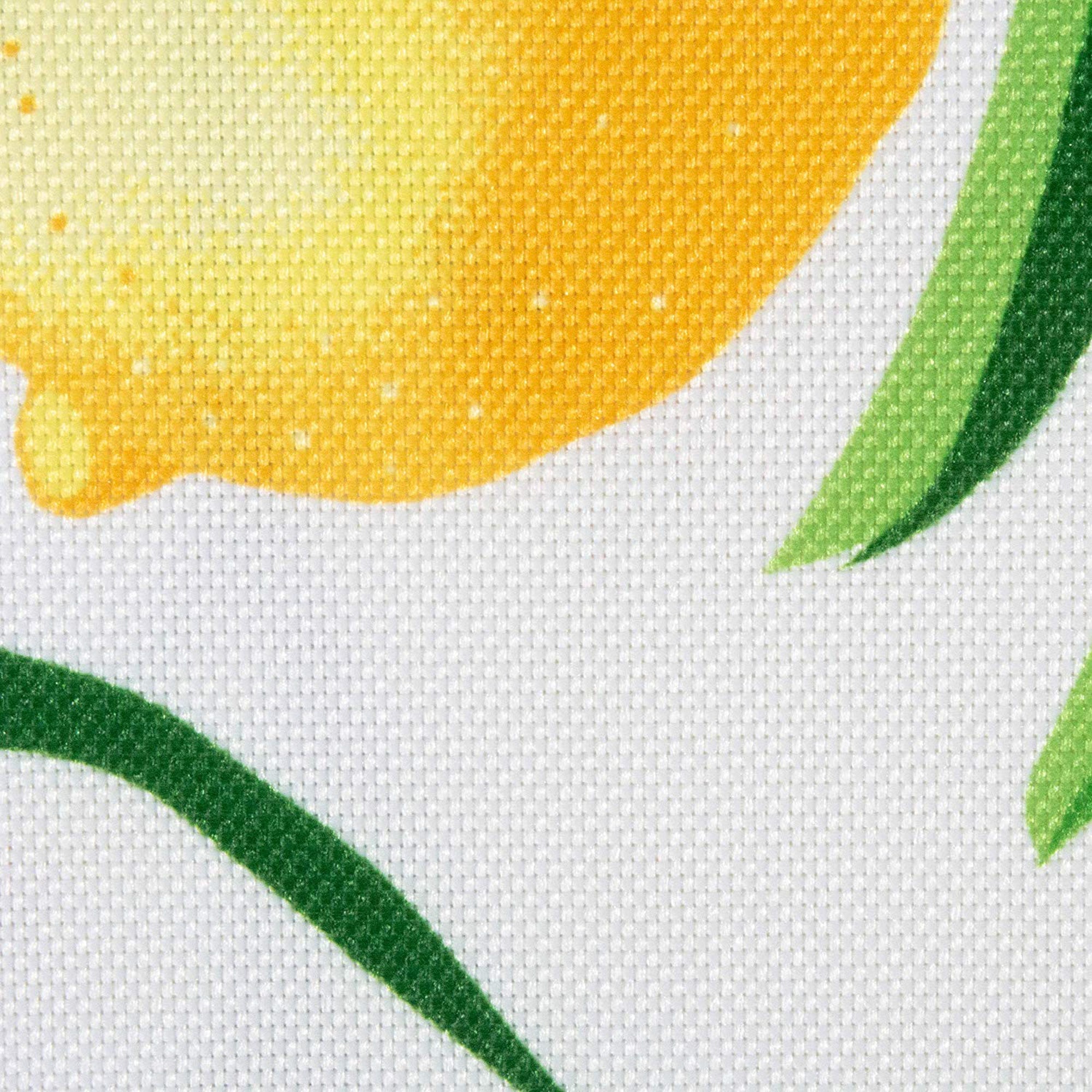 Lemon Bliss Print Outdoor Placemat, Set Of 6 - Placemats