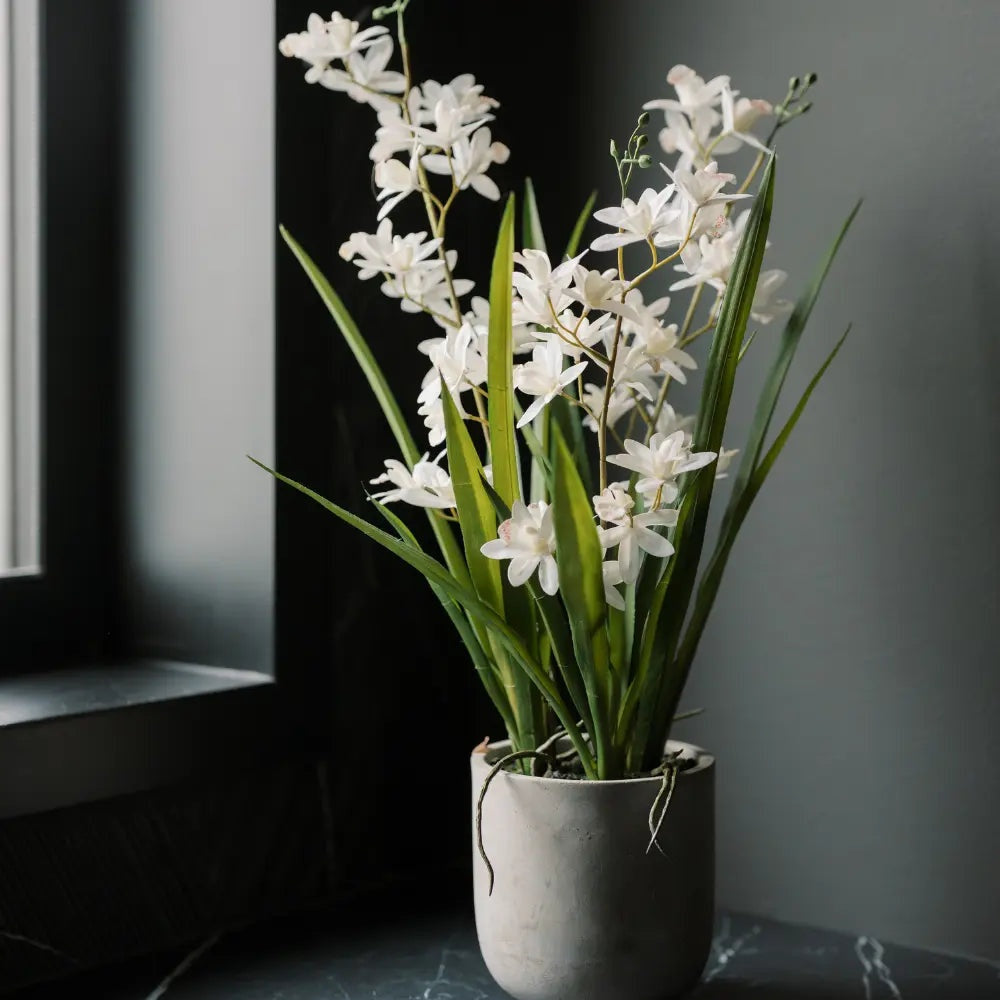 Artificial White Orchid in Vanda Pot