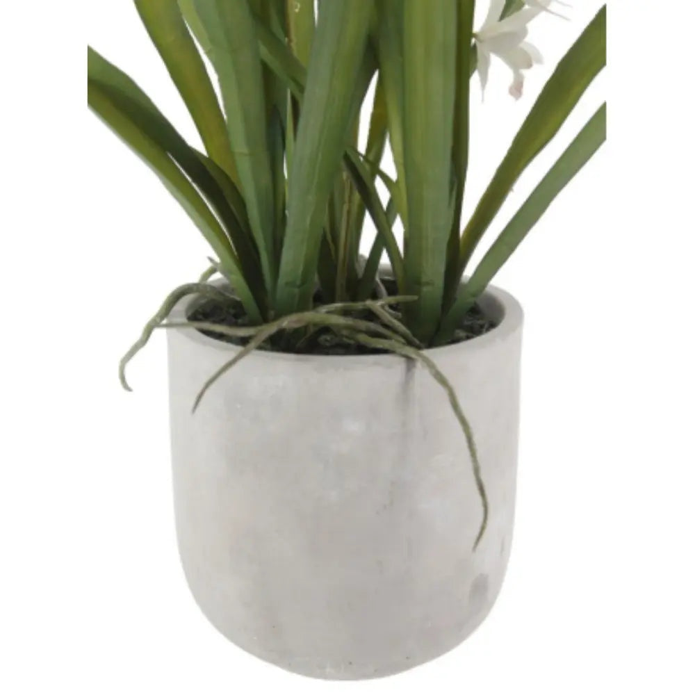 Artificial White Orchid in Vanda Pot