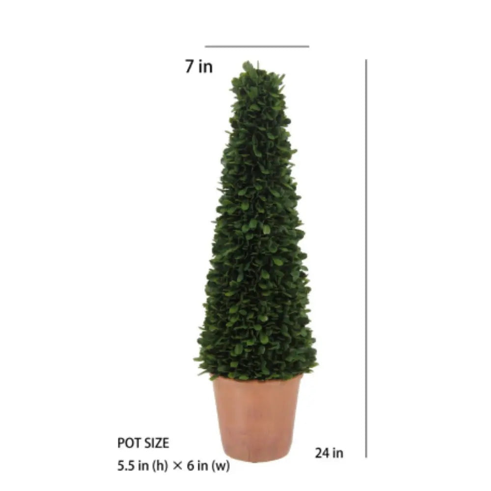 24" Artificial Boxwood Plant in Tapered Pot