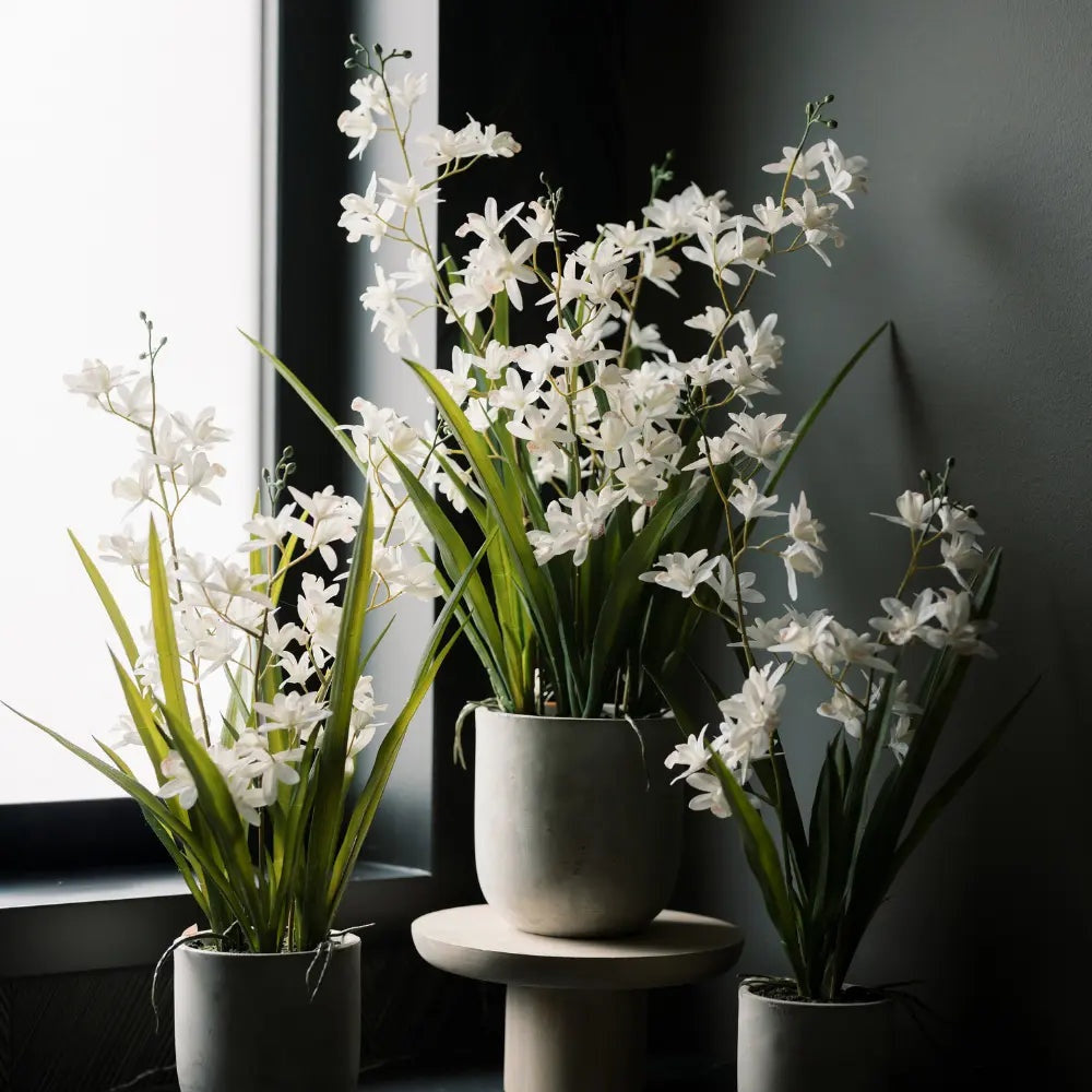 Artificial White Orchid in Vanda Pot