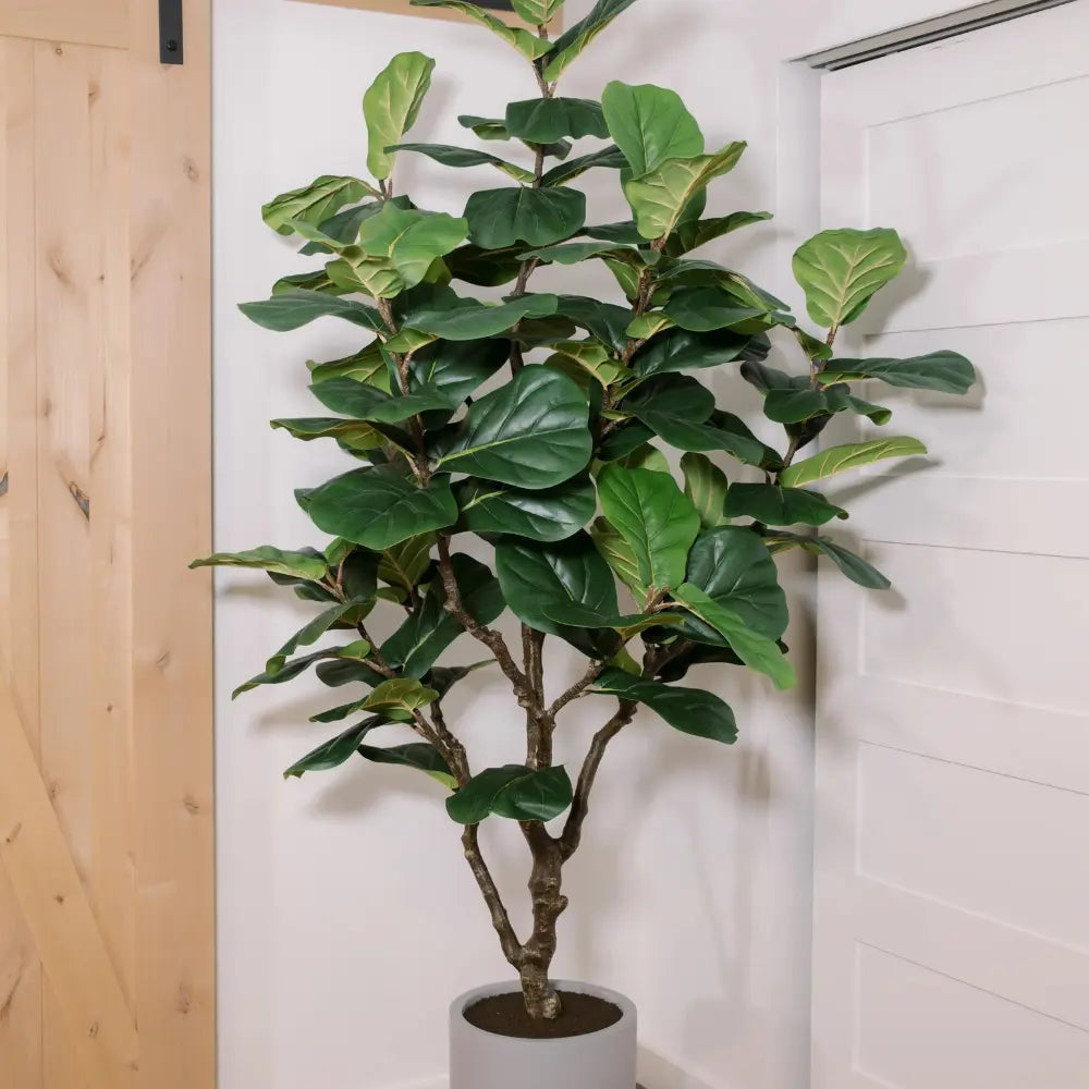 7' Artificial Fiddle Leaf Fig Tree in Pot