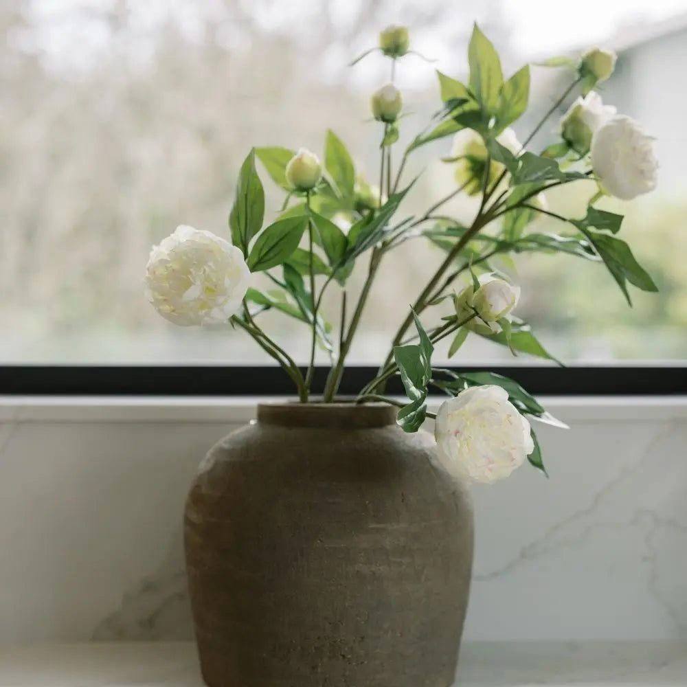 Artificial Cream Peony Stems, Set of 5