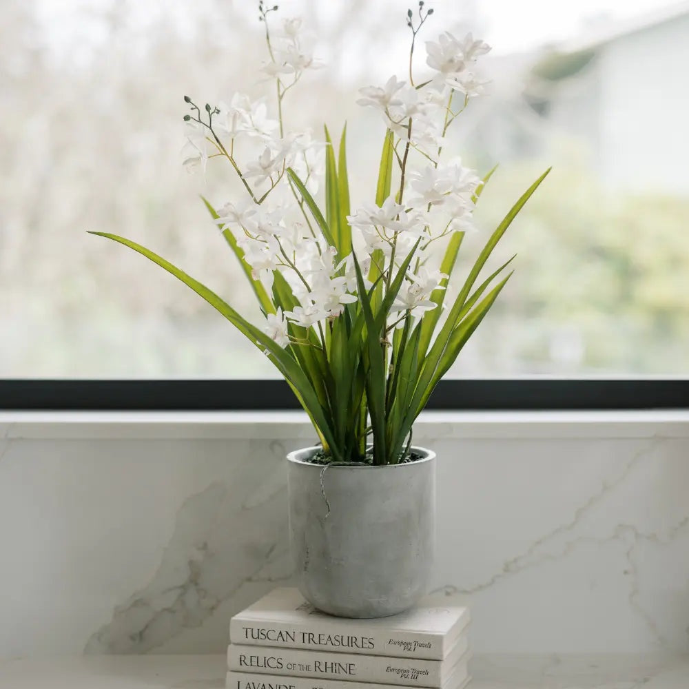 Artificial White Orchid in Vanda Pot