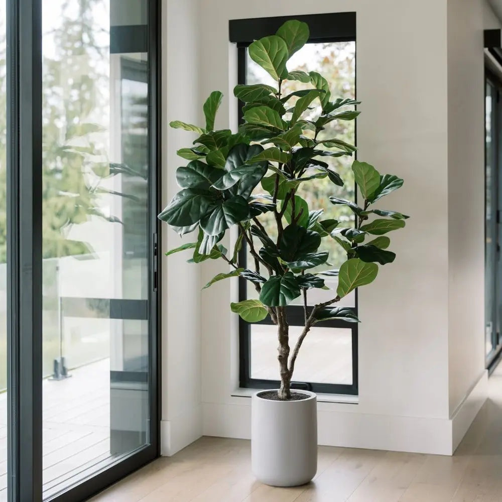 7' Artificial Fiddle Leaf Fig Tree in Pot