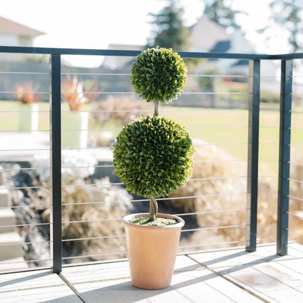36" Double Boxwood Topiary in Pot