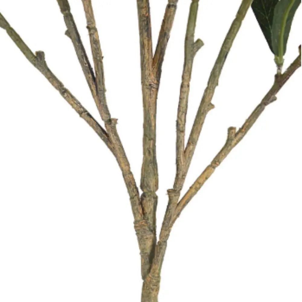 48" Artificial Olive Branch Stems, Set of 3