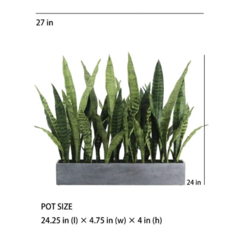 27" Potted Snake Plant