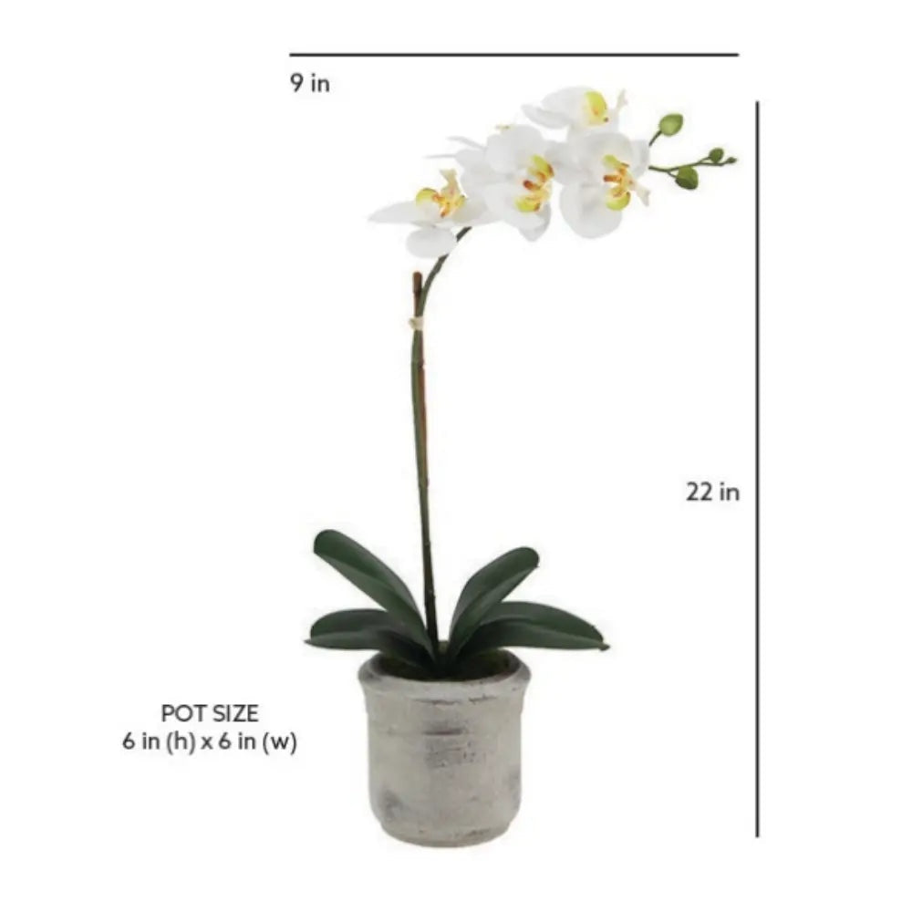 22" Artificial White Phalaenopsis Orchids, Set of 2