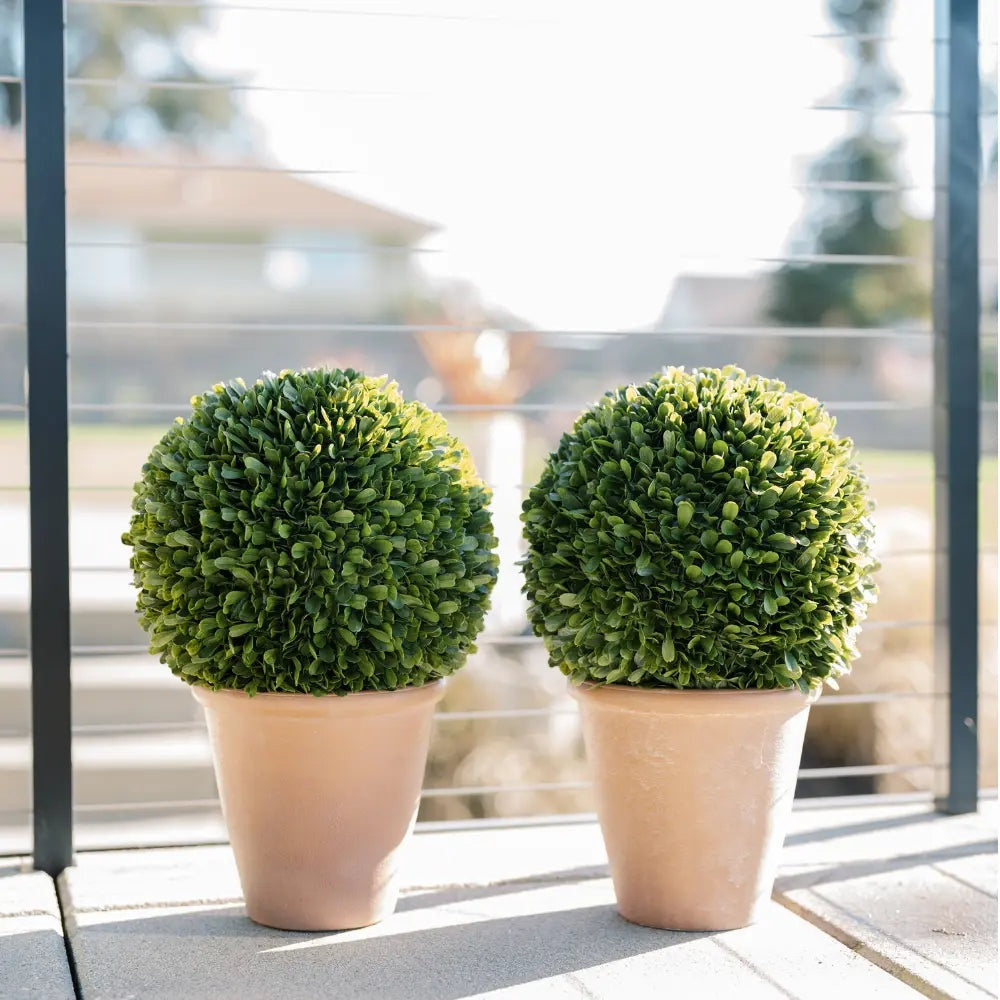 17" Artificial Boxwood Plant in Round Pot