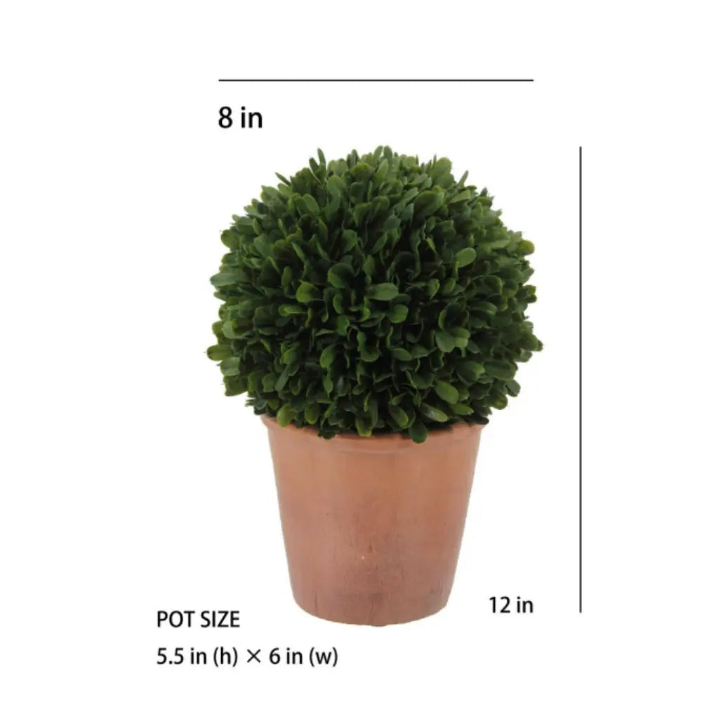 12" Artificial Boxwood Plant in Round Pot