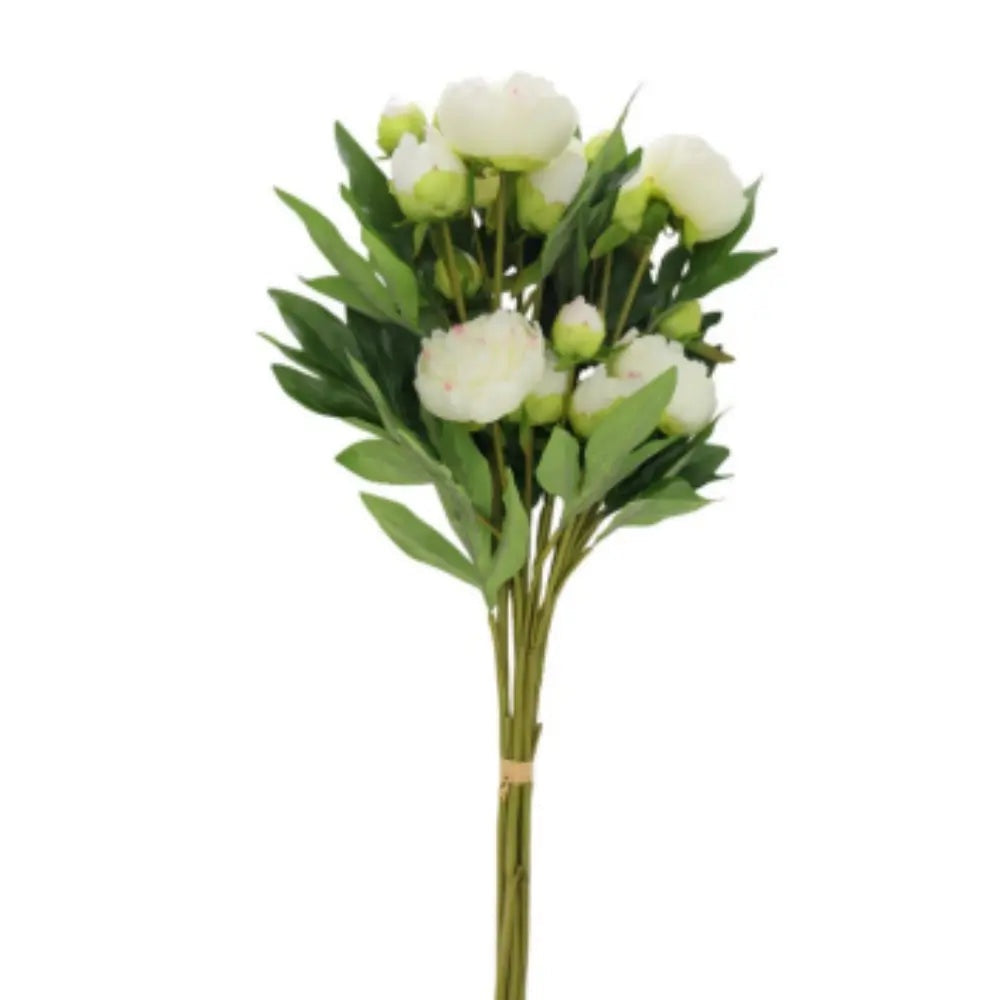 Artificial Cream Peony Stems, Set of 5