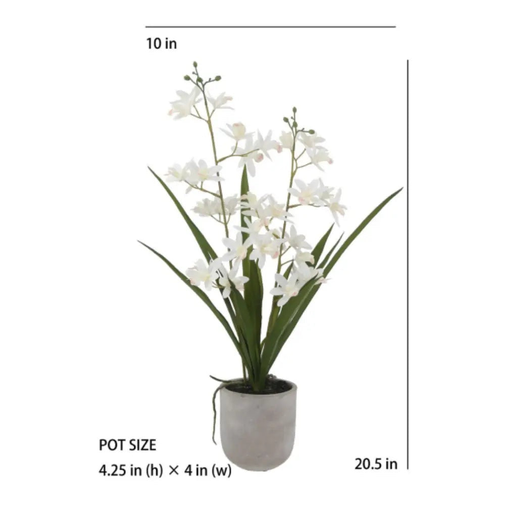 Artificial White Orchid in Vanda Pot