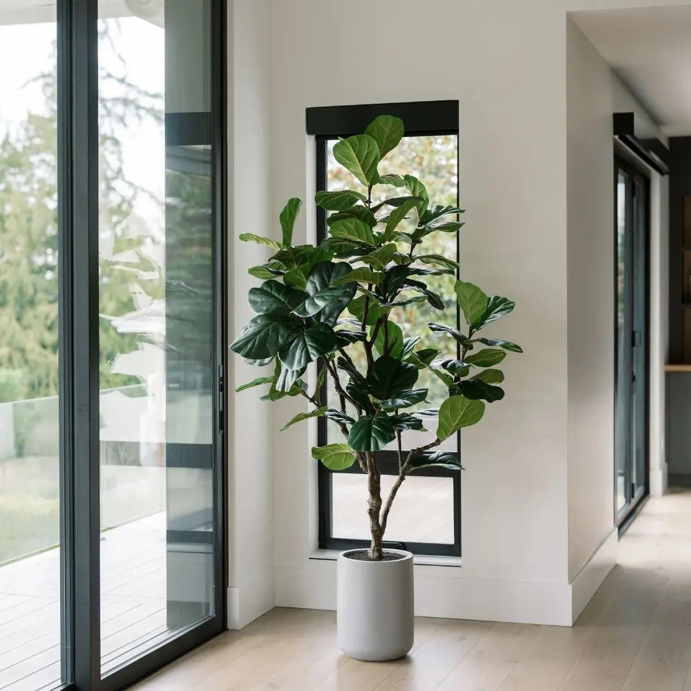7' Artificial Fiddle Leaf Fig Tree in Pot