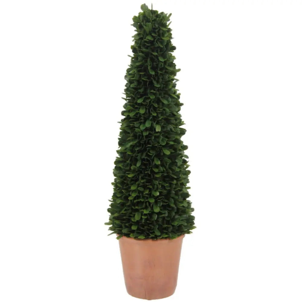 24" Artificial Boxwood Plant in Tapered Pot