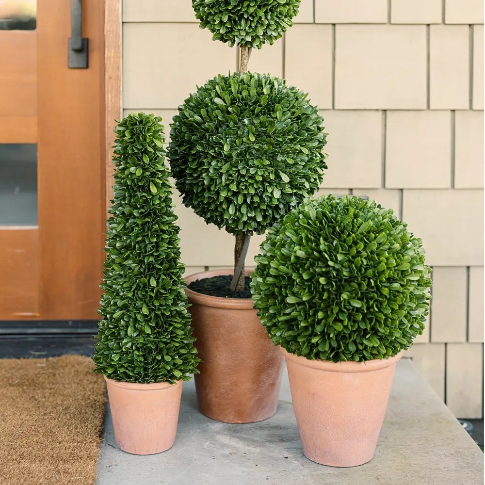 17" Artificial Boxwood Plant in Round Pot