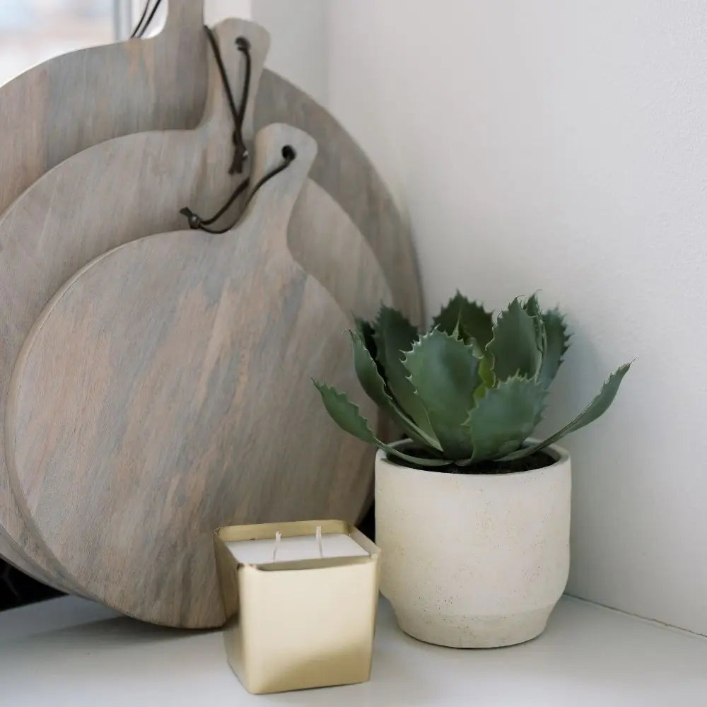 Artificial Succulent Plant Set in Stone Pots, 2-Pack