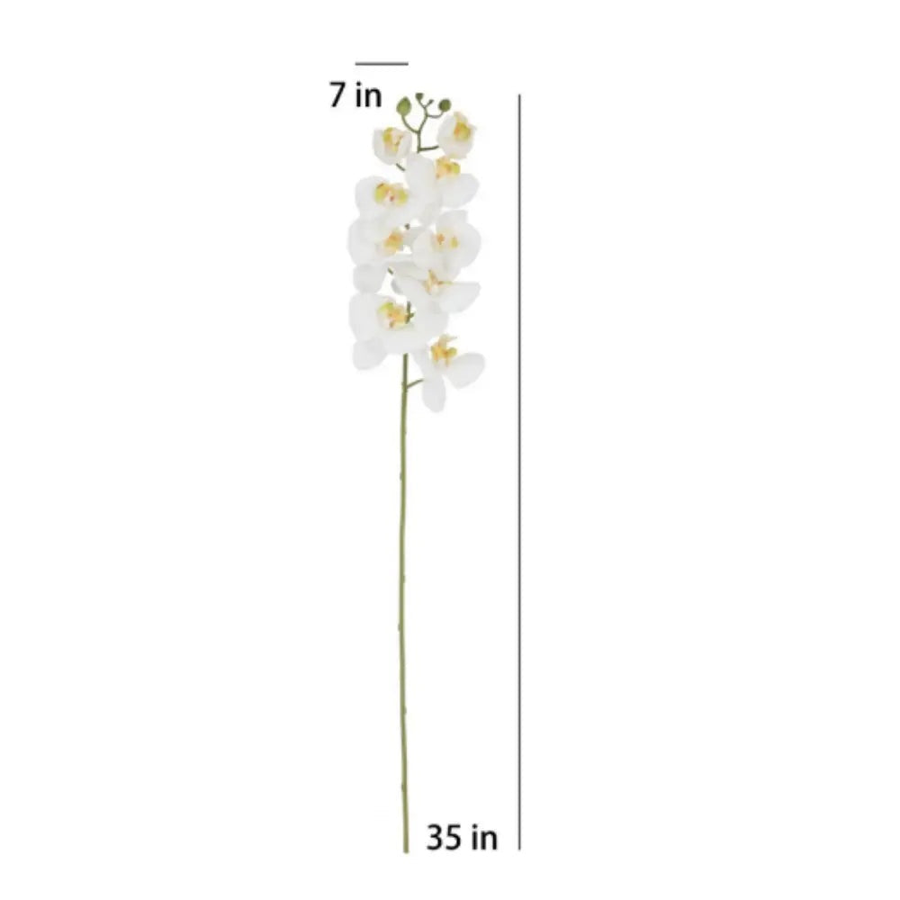 36" Artificial White Phalaenopsis Orchid Stems, Set of 5