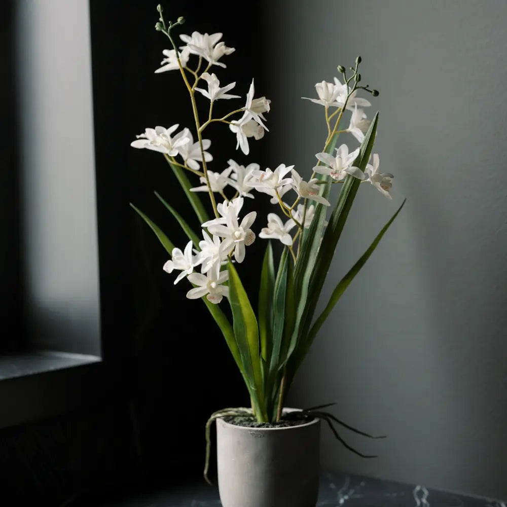 Artificial White Orchid in Vanda Pot