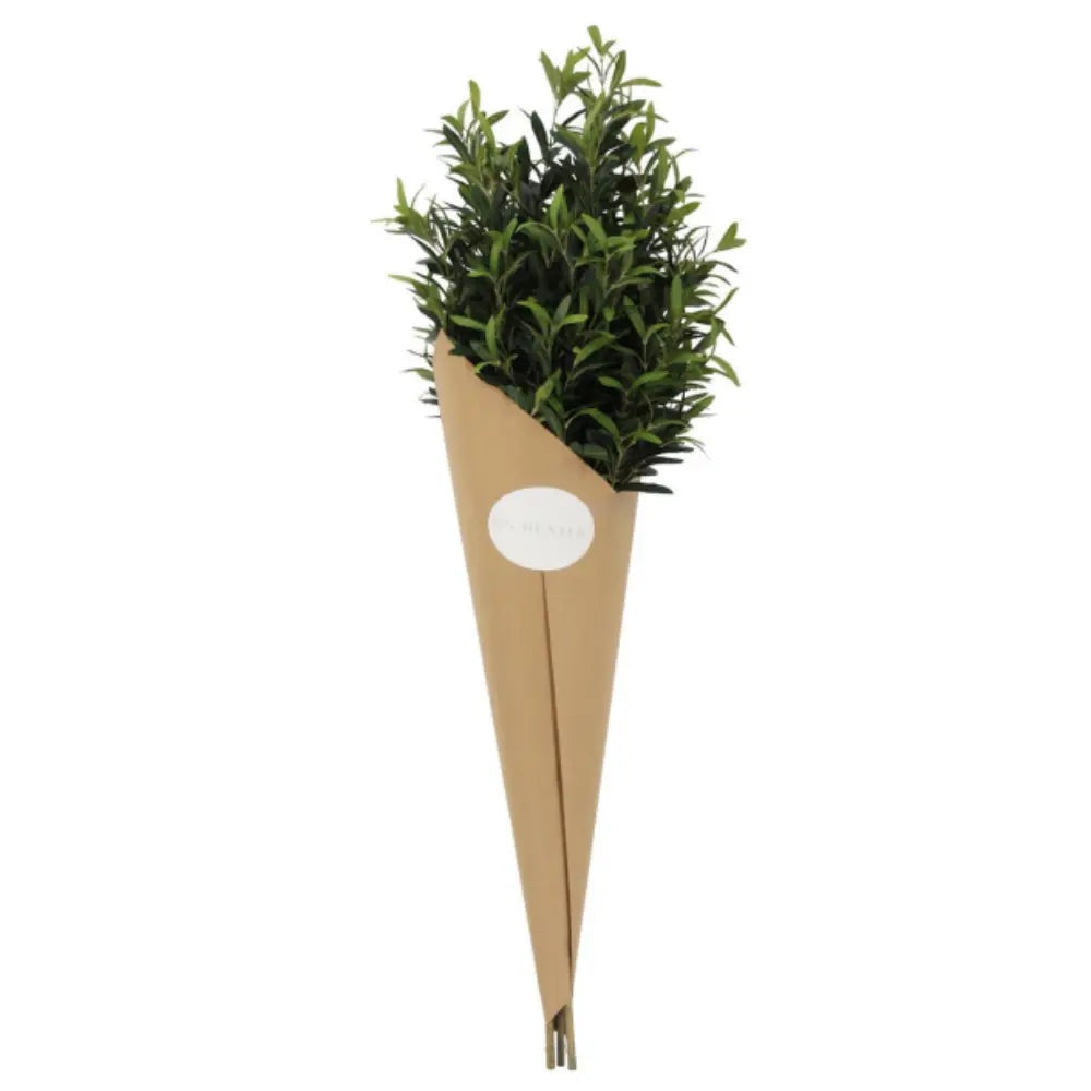 48" Artificial Olive Branch Stems, Set of 3