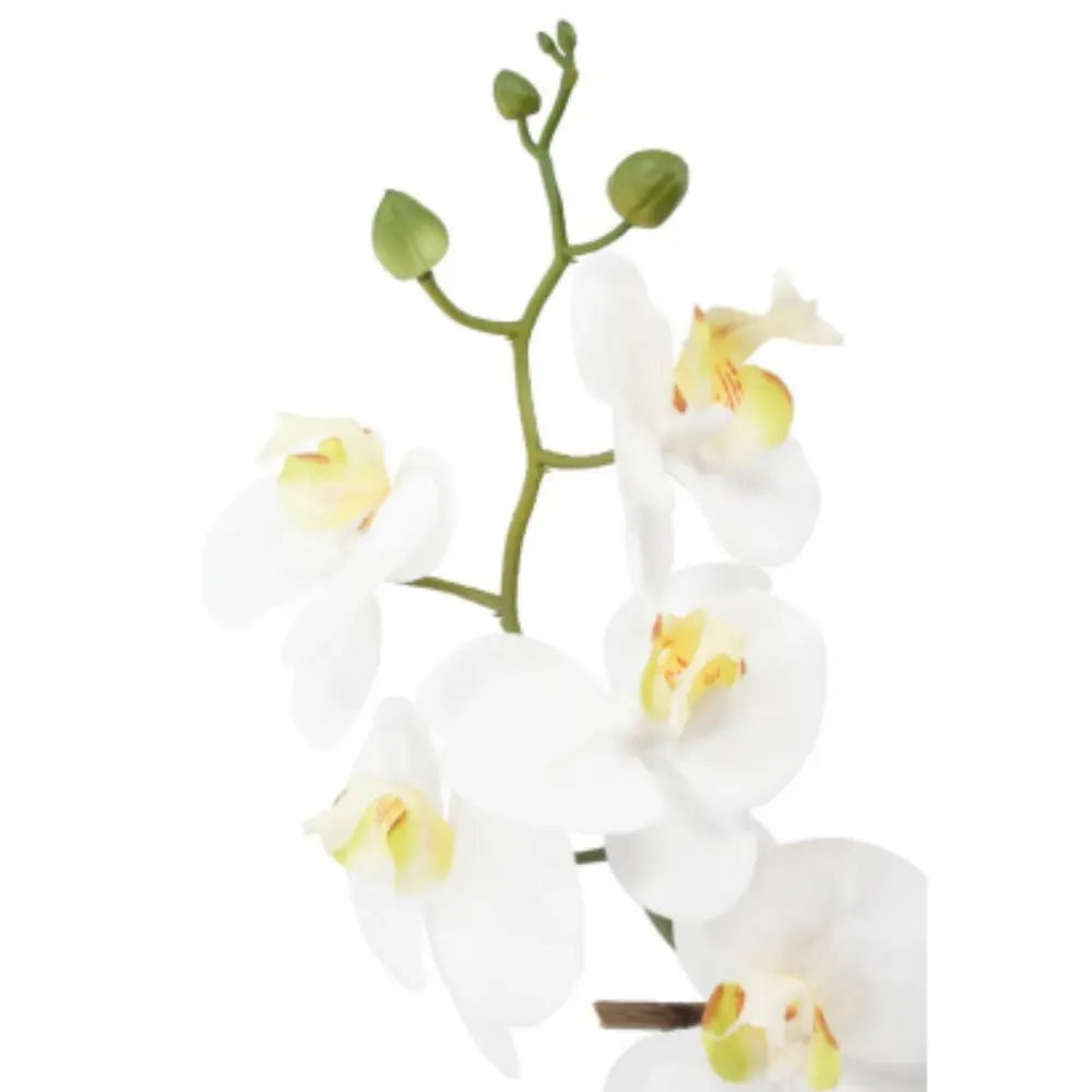 22" Artificial White Phalaenopsis Orchids, Set of 2