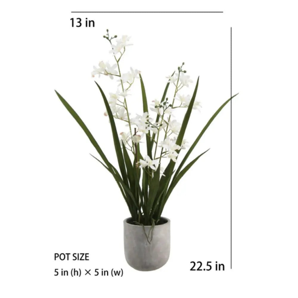 Artificial White Orchid in Vanda Pot