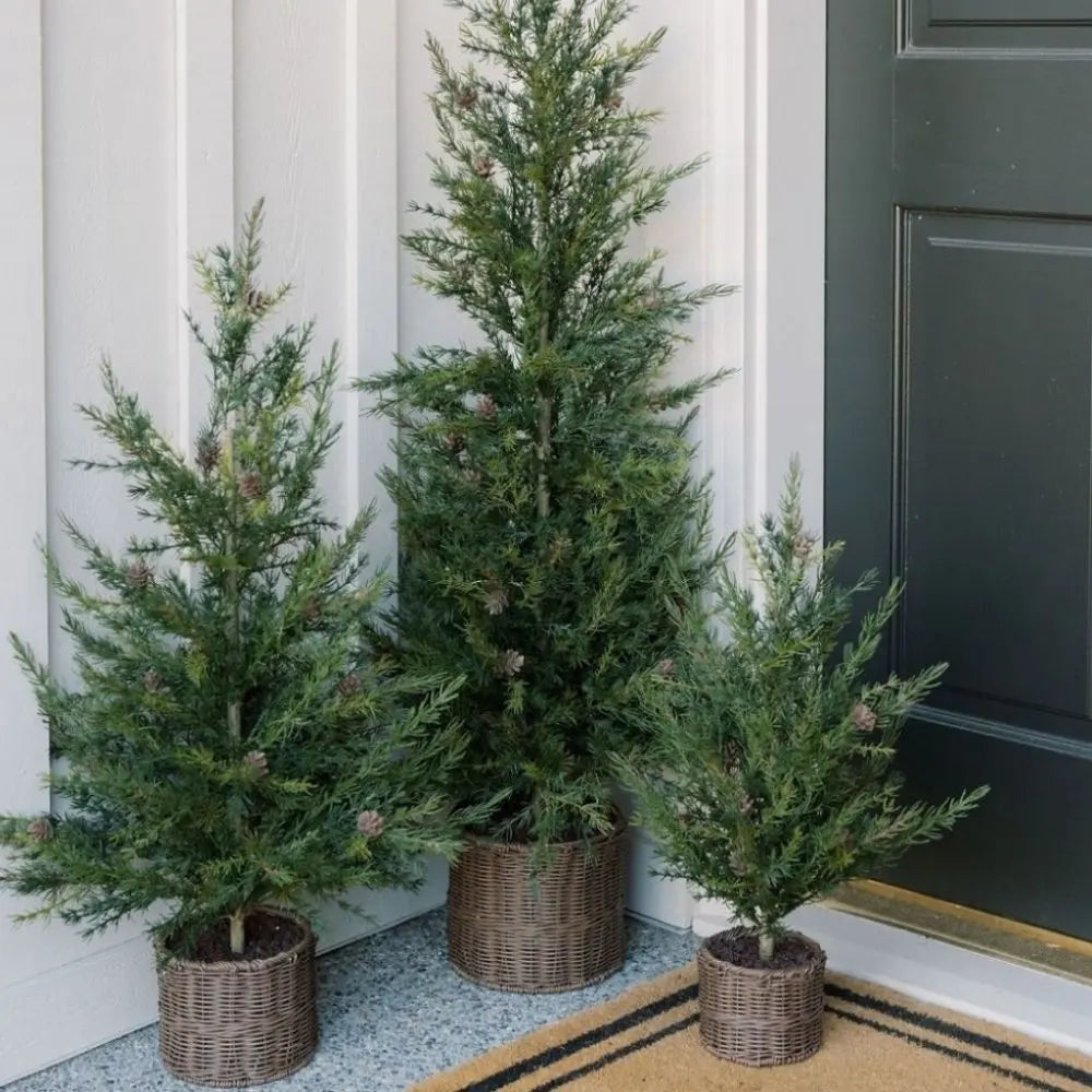 4' Pine Tree