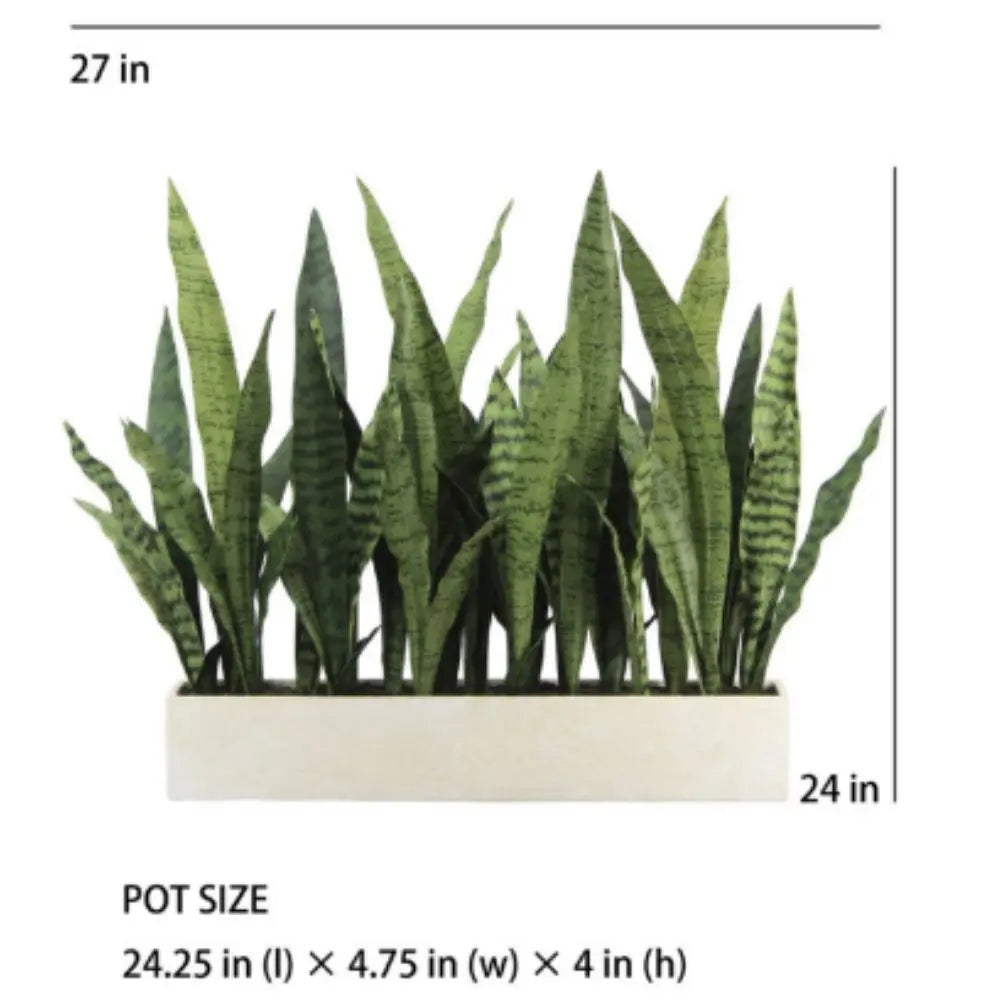 27" Potted Snake Plant