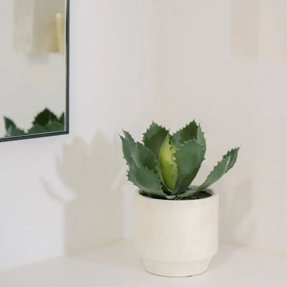 Artificial Succulent Plant Set in Stone Pots, 2-Pack