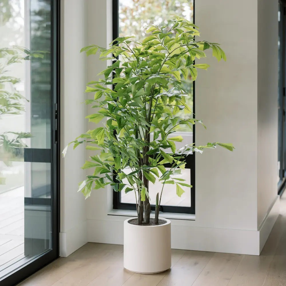 ikea palm tree plant 6' Artificial Fishtail Palm Tree in Pot