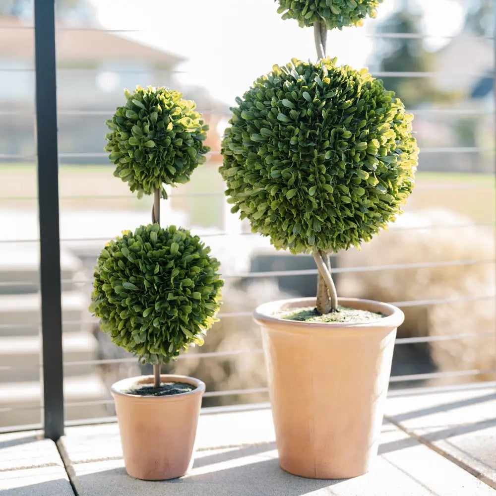 24" Artificial Boxwood Plant in Topiary Pot