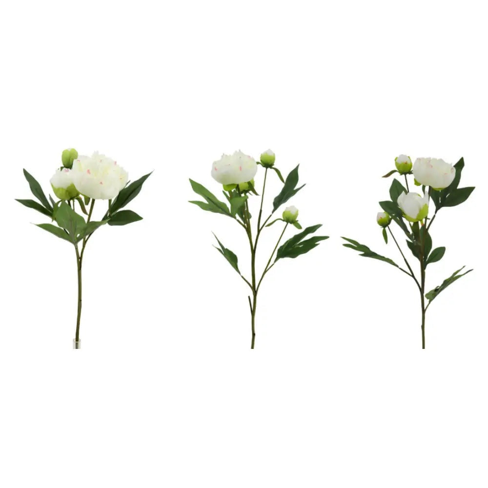 Artificial Cream Peony Stems, Set of 5