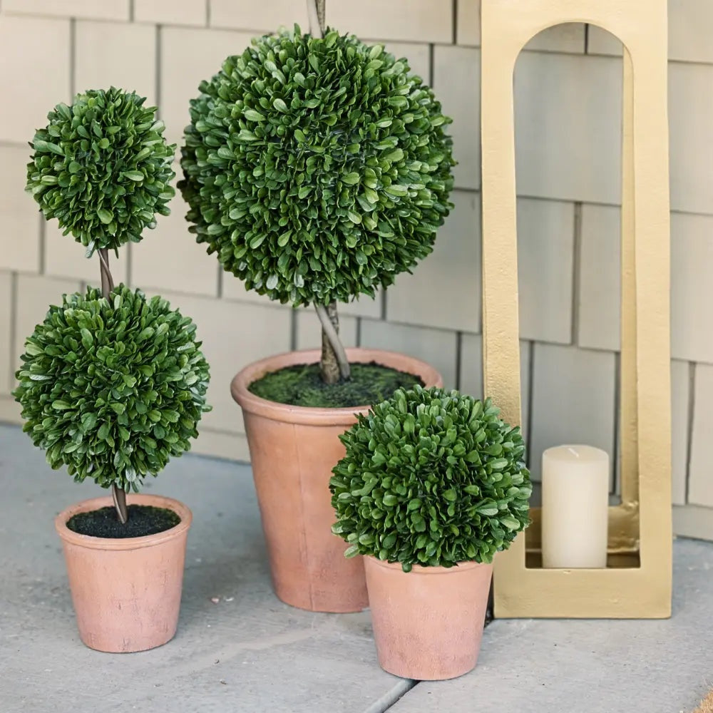 12" Artificial Boxwood Plant in Round Pot