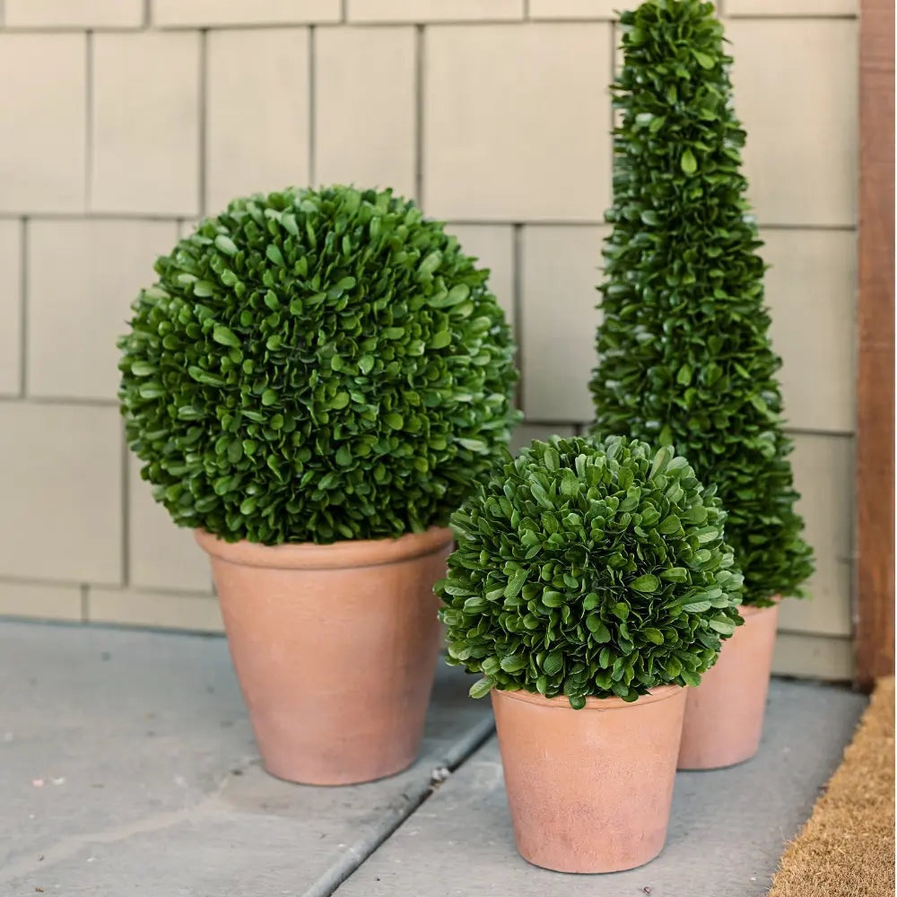 17" Artificial Boxwood Plant in Round Pot
