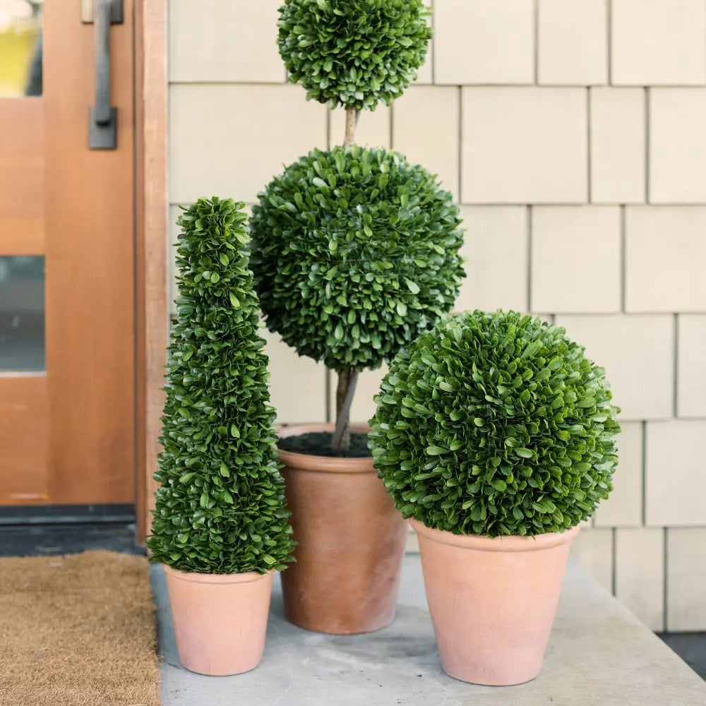 24" Artificial Boxwood Plant in Tapered Pot