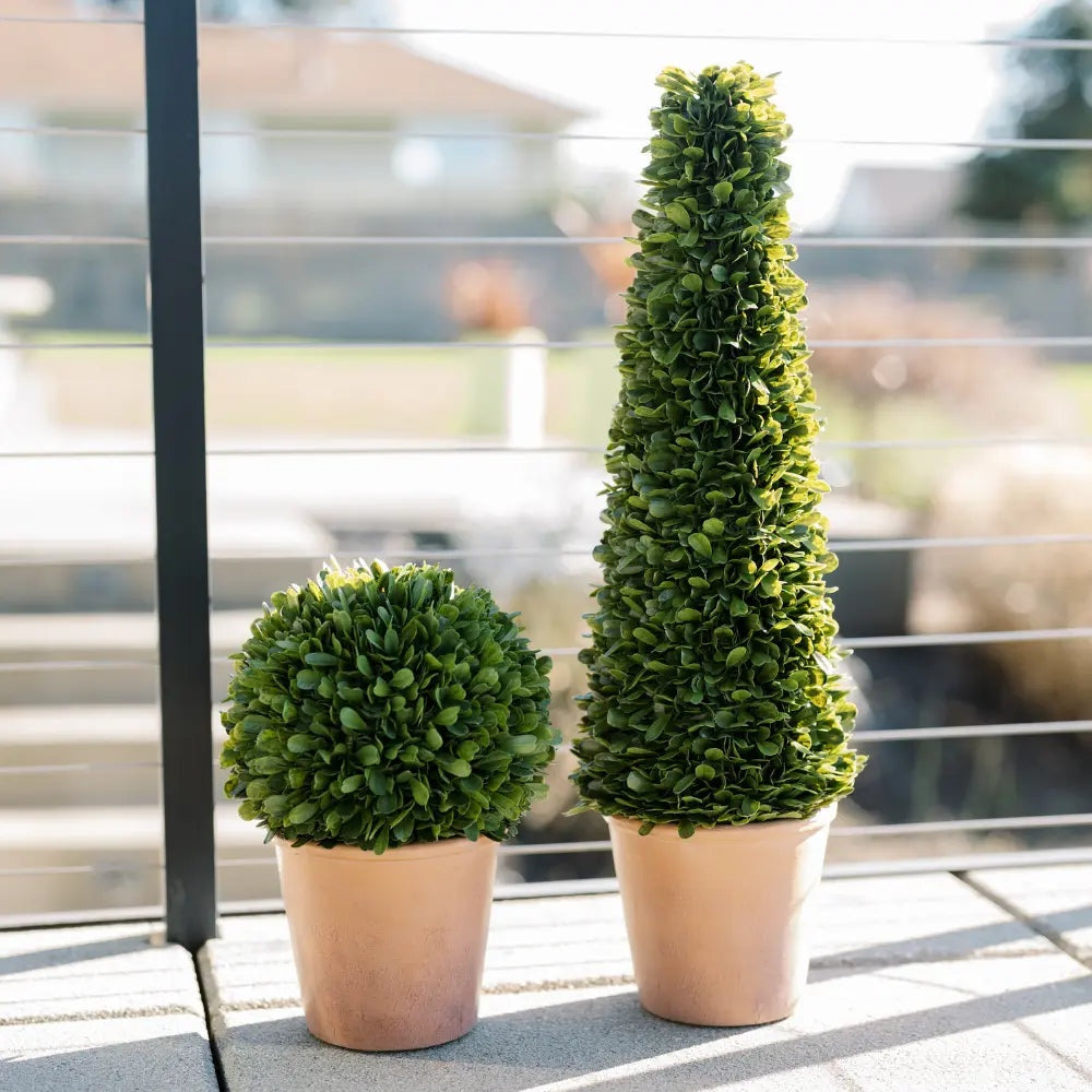 24" Artificial Boxwood Plant in Tapered Pot