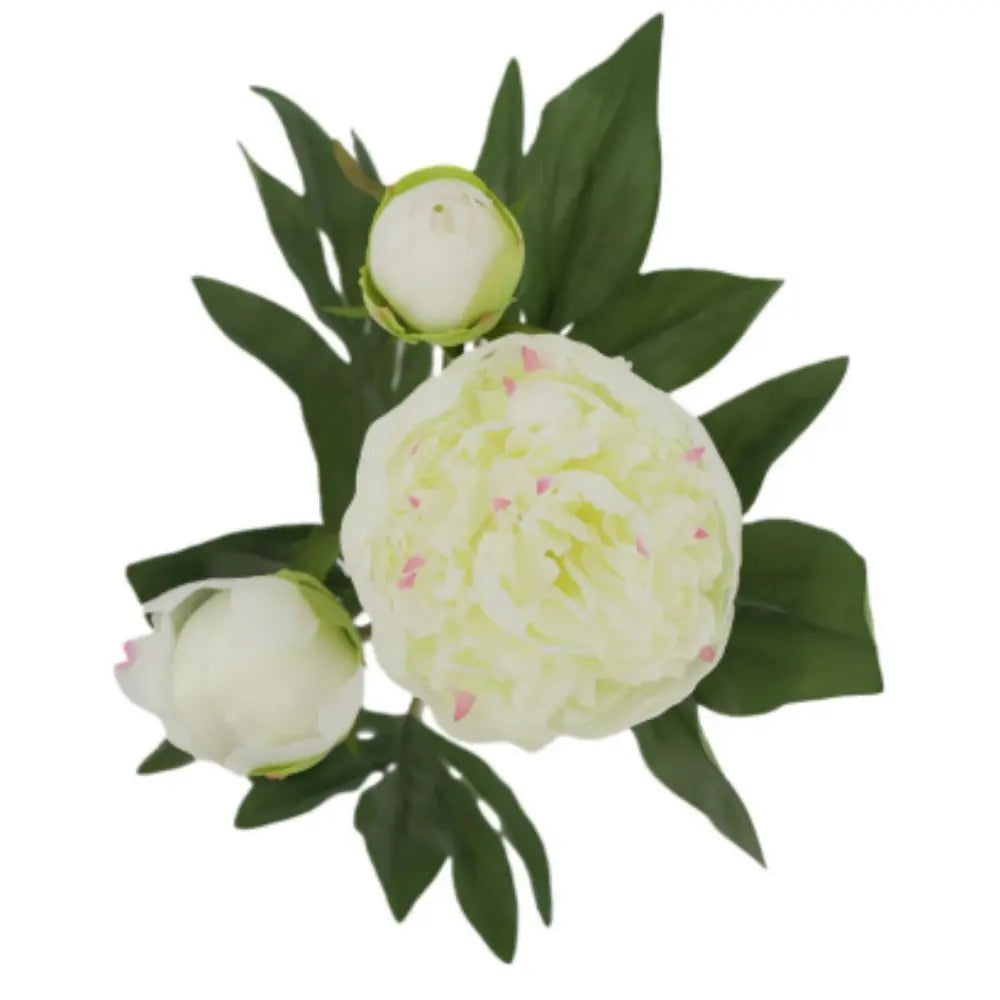 Artificial Cream Peony Stems, Set of 5