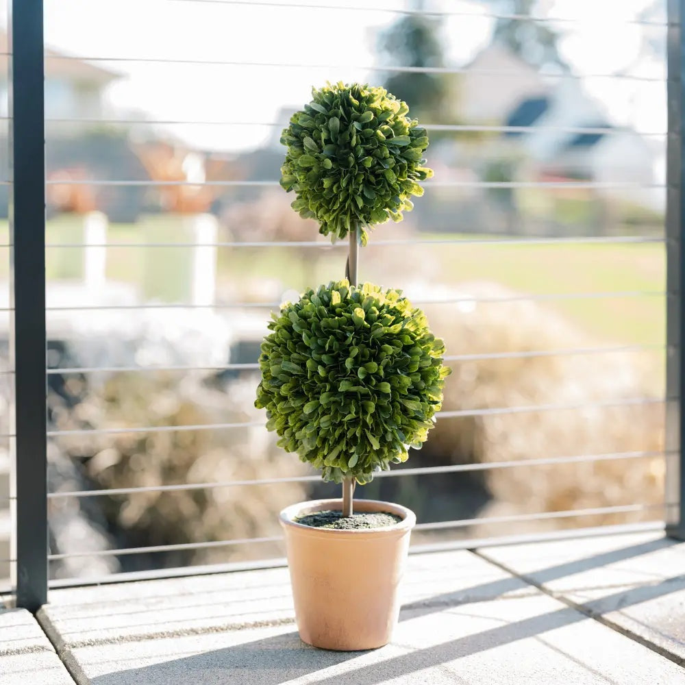 24" Artificial Boxwood Plant in Topiary Pot